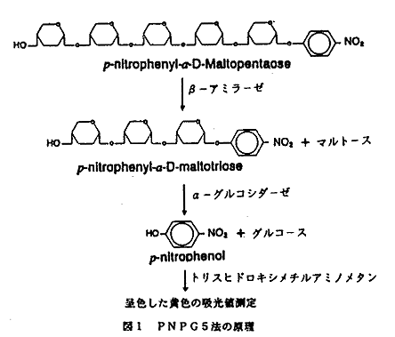 図1 PNPG5法の原理