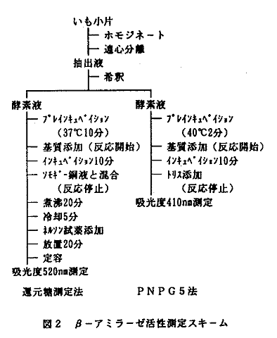 図2 βーアミラーゼ活性測定スキーム