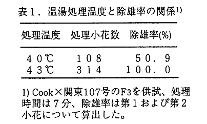 表1 温湯処理温度と除雄率の関係