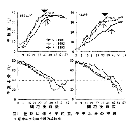 図1 登熟に伴う千粒重、子実水分の推移