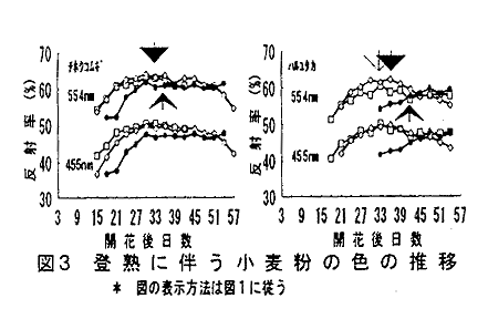 図3 登熟に伴う小麦粉の色の推移