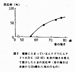 図2 電線にとまっているムクドリにムクドリのDCを音の強さを変えて提示したときの反応率