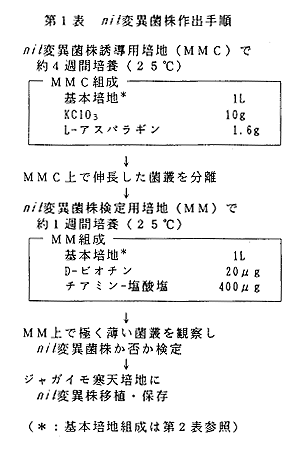 表1 nit変異菌株作出手順
