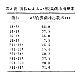 表3 菌株によるnit変異菌株出現率