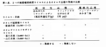 表1 2つの縞萎縮ウイルスによるオオムギ品種の発病の比較