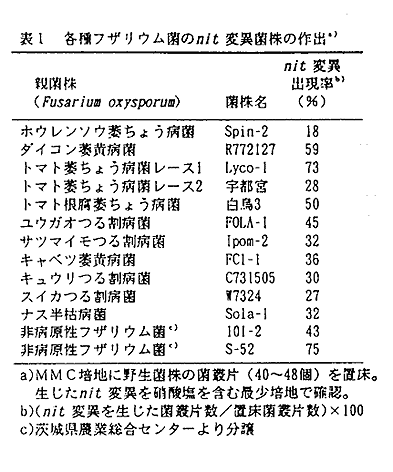 表1 各種フザリウム菌のnit変異菌株の作出