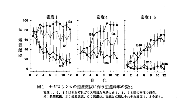 図1 セジロウンカの翅型選抜に伴う短翅雌率の変化