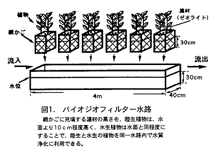 図1 バイオジオフィルター水路