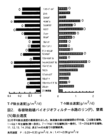 図2 各植物栽植バイオジオフィルター水路のリン(P)、窒素(N)除去速度