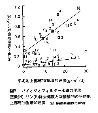 図3 バイオジオフィルター水路の平均窒素、リン除去速度と栽植植物の平均地上部乾物重増加速度