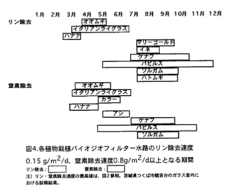 図4 各植物栽植バイオジオフィルター水路のリン除去速度