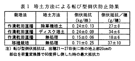 表1 倍土方法による転び型倒伏防止効果