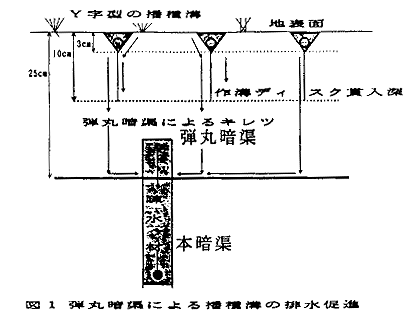 図1 弾丸暗渠による播種溝の排水促進