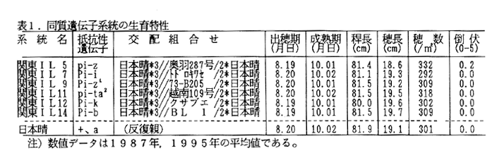 表1.同質遺伝子系統の生育特性
