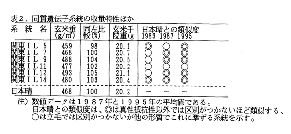 表2.同質遺伝子系統の収量特性ほか