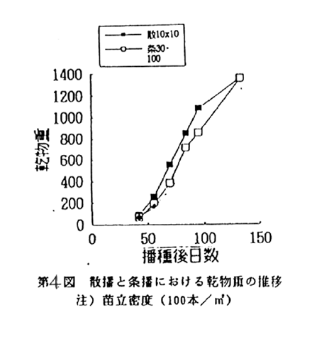 図4.散播と条播における乾物重の推移