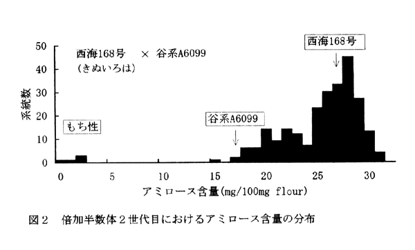 図2.倍加半数体2世代目におけるアミロース含量の分布