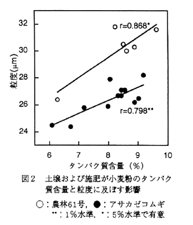 図2.土壌および施肥が小麦粉のタンパク質含量と粒度に及ぼす影響
