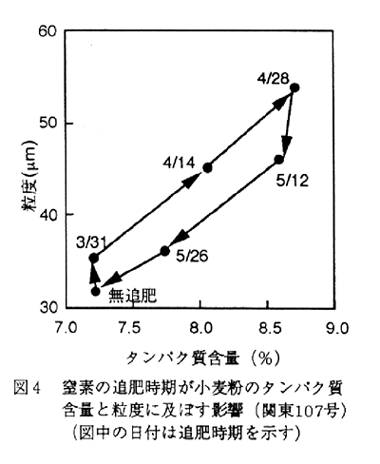 図4.窒素の追肥時期が小麦粉のタンパク質含量と粒度に及ぼす影響