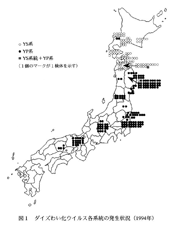 図1.ダイズわい化ウイルス各系統の発生状況(1994年)