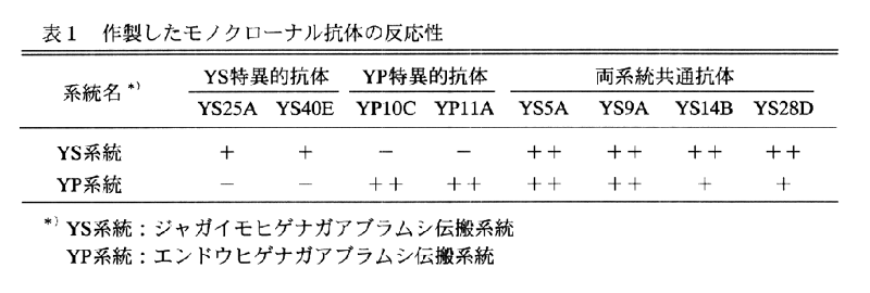 表1.作製したモノクローナル抗体の反応性
