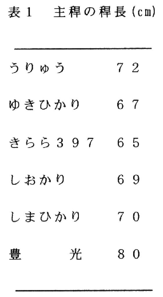 表1.主稈の稈長(cm)