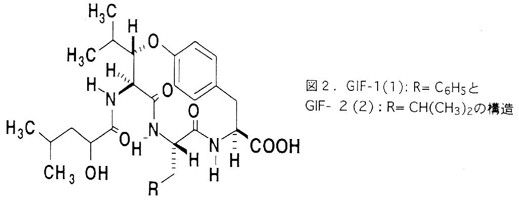 図2.GIF-1(1):R=C6H5とGIF-2(2):R=CH(CH3)2の構造