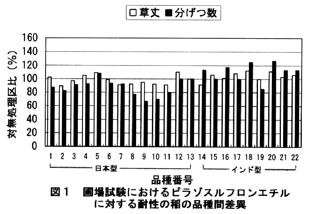 図1.圃場試験におけるピラゾスルフロンエチルに対する耐性の稲の品種間差異