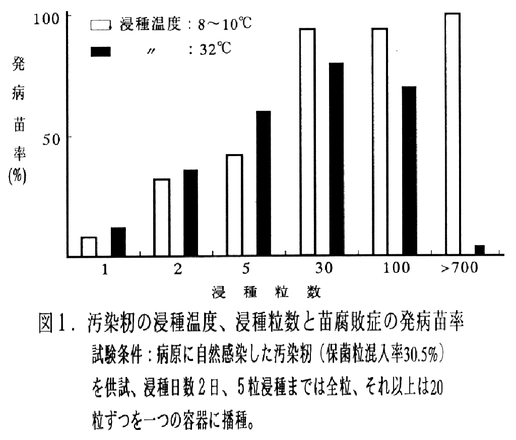 図1.汚染籾の浸種温度、浸種粒数と苗腐敗症の発病苗率