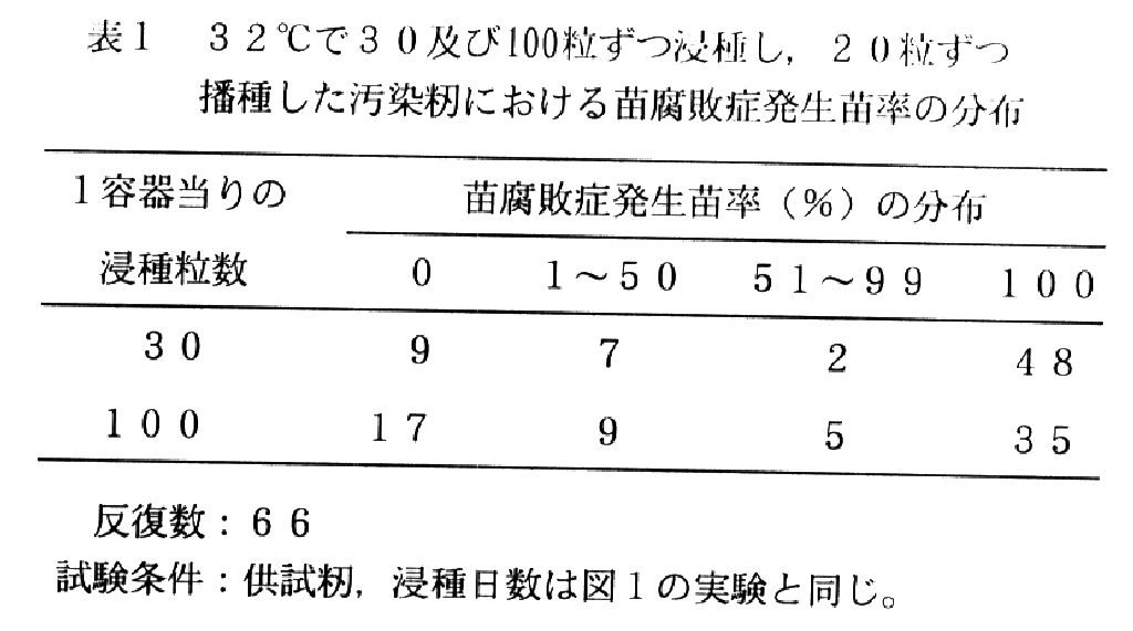 表1.32°Cで30及び100粒ずつ浸種し、20粒ずつ播種した汚染籾における苗腐敗症発生苗率の分布