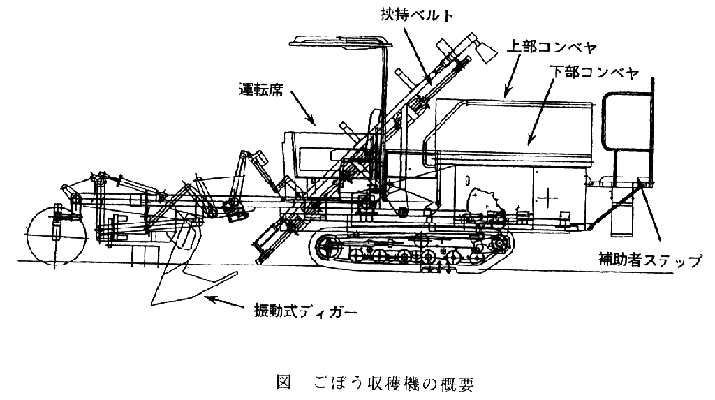 図1.ごぼう収穫期の概要