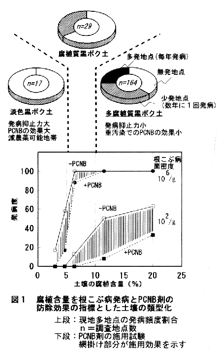 図1.腐植含量を根こぶ病発病とPCNB剤の防除効果の指標とした土壌の類型化