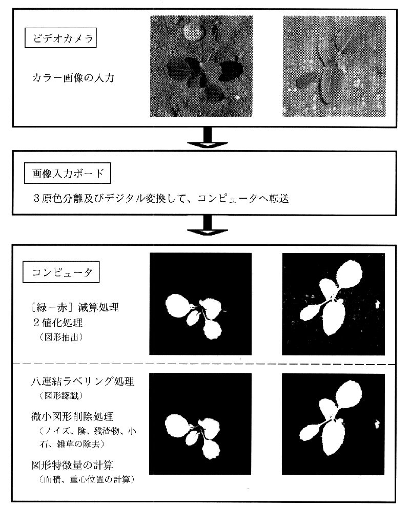 図