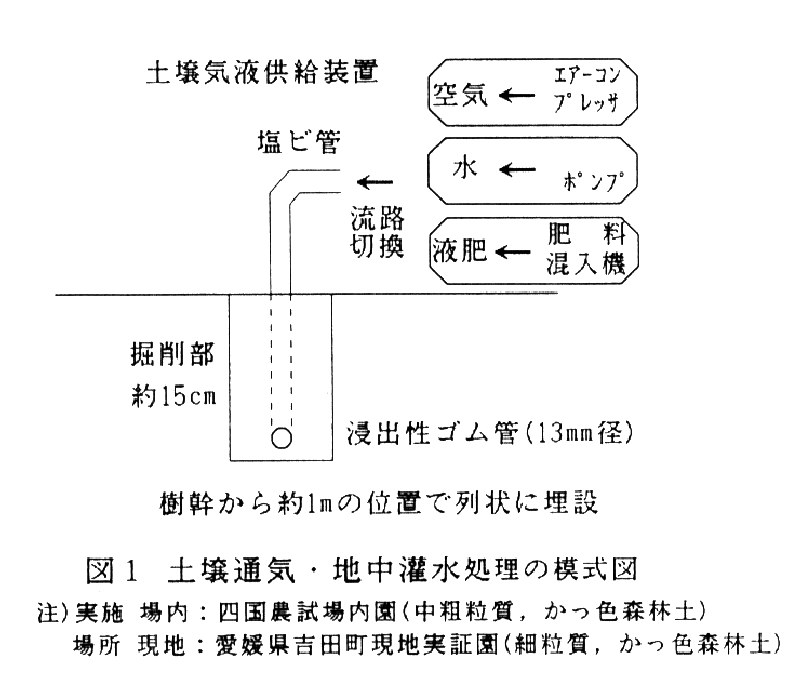 図1.土壌通気・地中灌水処理の模式図