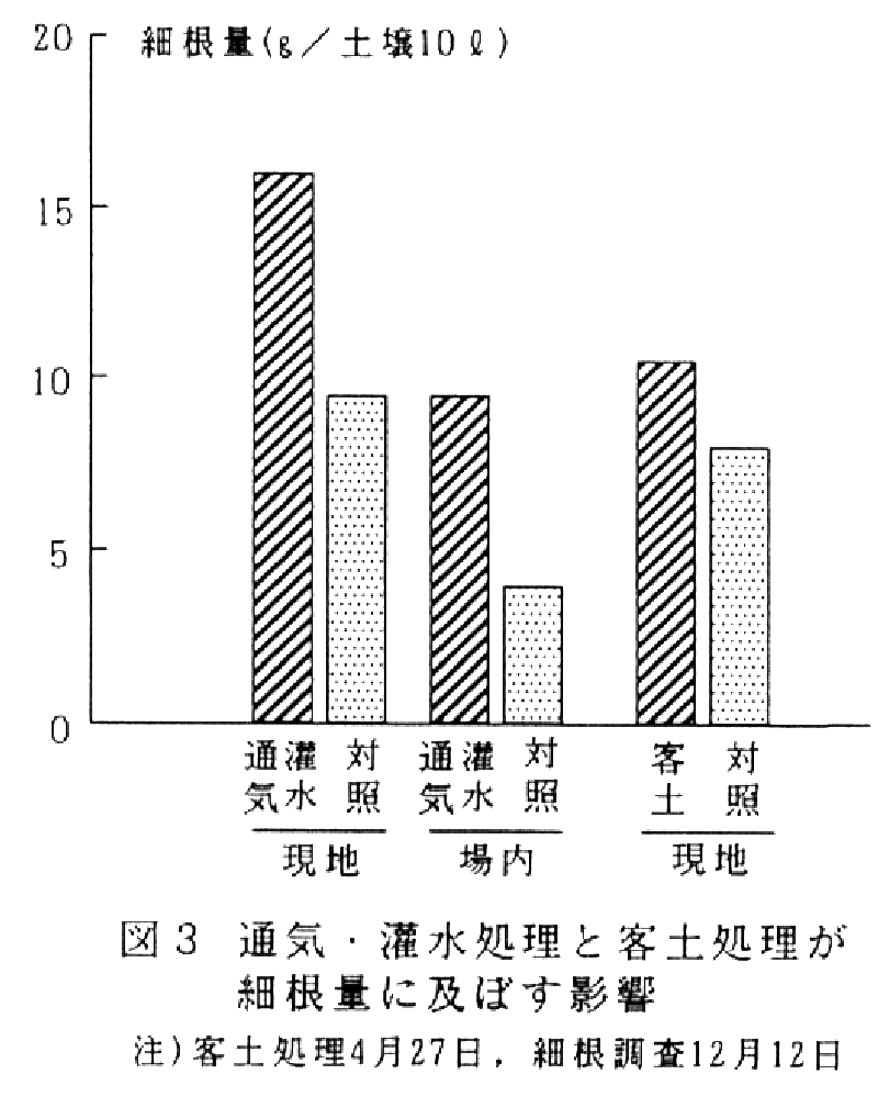 図3.通気・灌水処理と客土処理が細根量に及ぼす影響