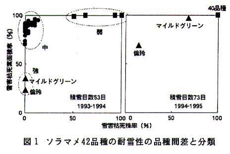 図1.ソラマメ42品種の耐雪性の品種間差と分類
