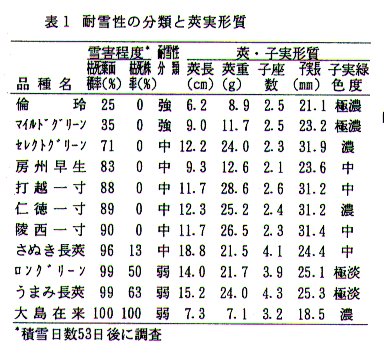 表1.耐雪性の分類と莢実形質