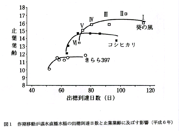 図1:作期移動が湛水直播水稲の出穂到達日数と止葉葉齢に及ぼす影響(平成6年)