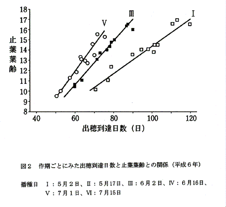 図2:作期ごとにみた出穂到達日数と止葉葉齢との関係(平成6年)