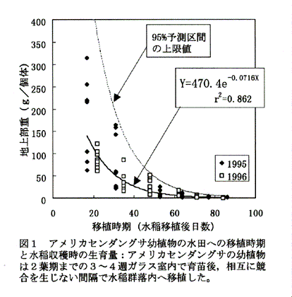 図1:アメリカセンダングサ幼植物の水田への移植時期と水稲収穫時の生育量