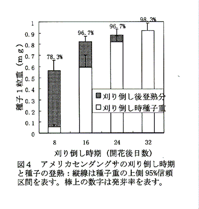 図4:アメリカセンダングサの刈り倒し時期と種子の登熟