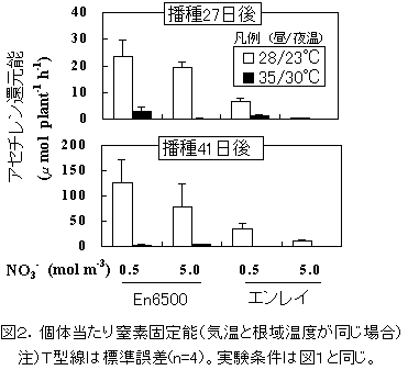 図2:個体当たり窒素固定能(気温と根域温度が同じ場合)