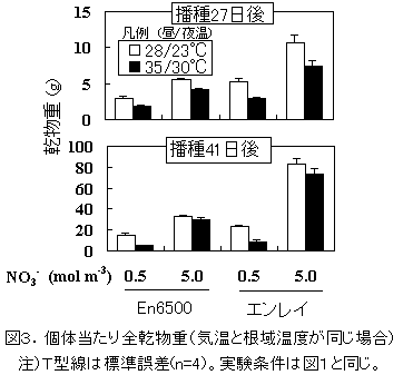 図3:個体当たり全乾物重(気温と根域温度が同じ場合)