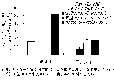 図5:個体当たり窒素固定能(気温と根域温度が異なる場合を含む)