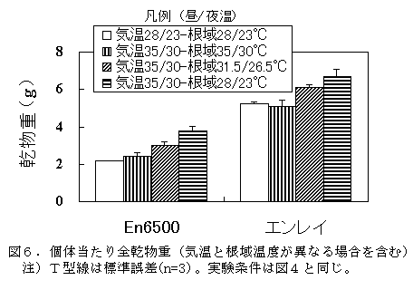 図6:個体当たり全乾物重(気温と根域温度が異なる場合を含む)