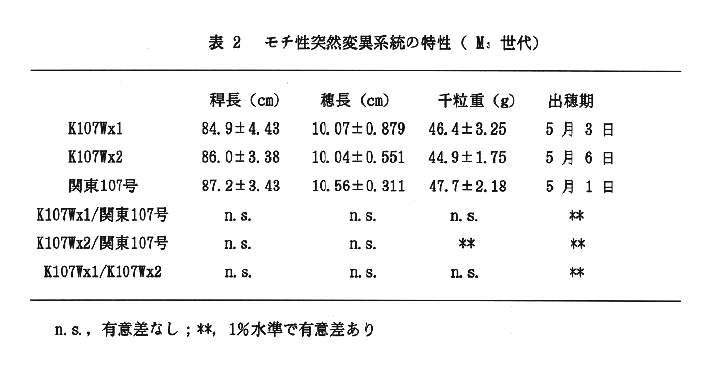 表2:モチ性突然変異系統の特性(M3 世代)