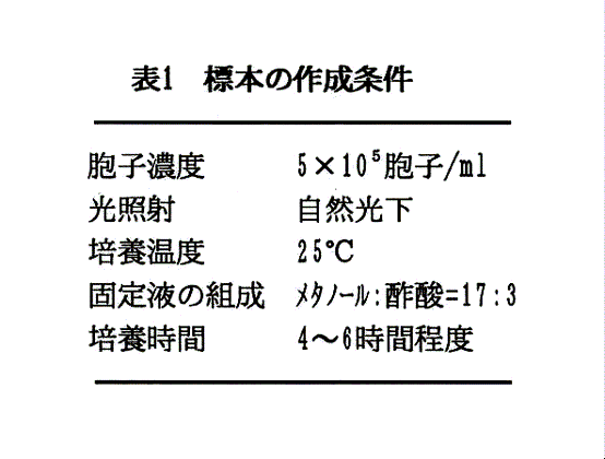 表1:標本の作成条件