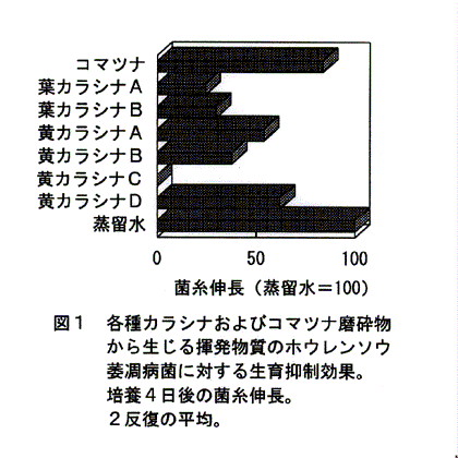 図1:各種カラシナおよびコマツナ磨砕物から生じる揮発物質のホウレンソウ萎凋病菌に対する生育抑制効果。培養4日後の菌糸伸長。2反復の平均。