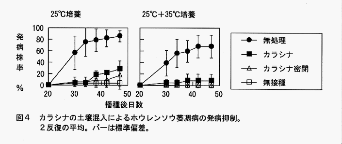 図4:カラシナの土壌混入によるホウレンソウ萎凋病の発病抑制。2反復の平均。バーは標準偏差。