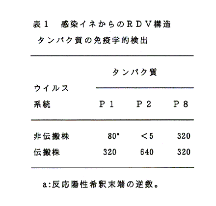 表1:感染イネからのRDV構造